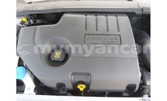 Buy Import Jaguar E-Pace White Car in Import - Dubai in Ayeyarwady Buy Import Jaguar E-Pace White Car in Import - Dubai in Ayeyarwady