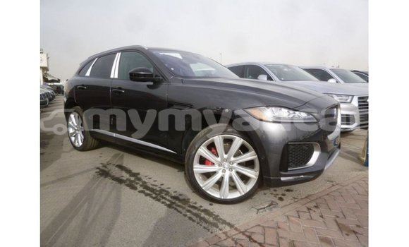 Acheter Import Voiture Jaguar F-Type Noir à Import - Dubai, #<Region:0x000000000c5121b8>