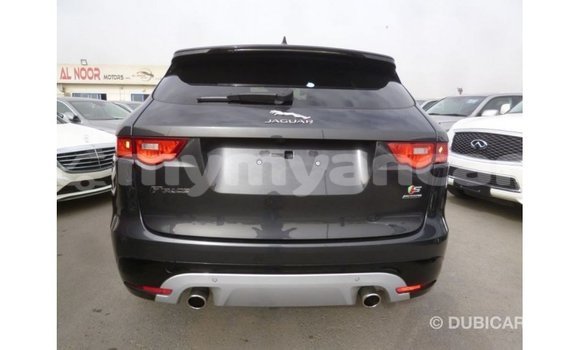 Buy Import Jaguar F-Type Black Car in Import - Dubai in Ayeyarwady Buy Import Jaguar F-Type Black Car in Import - Dubai in Ayeyarwady