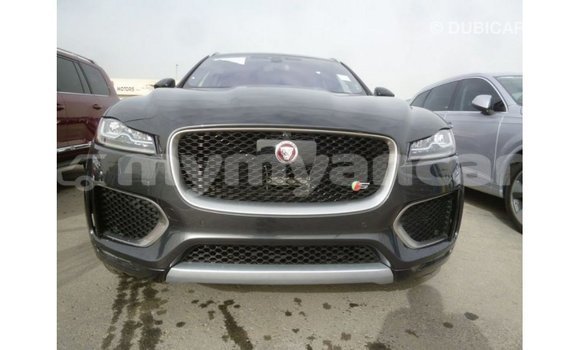 Buy Import Jaguar F-Type Black Car in Import - Dubai in Ayeyarwady Buy Import Jaguar F-Type Black Car in Import - Dubai in Ayeyarwady