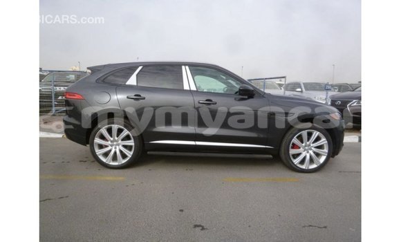 Buy Import Jaguar F-Type Black Car in Import - Dubai in Ayeyarwady Buy Import Jaguar F-Type Black Car in Import - Dubai in Ayeyarwady