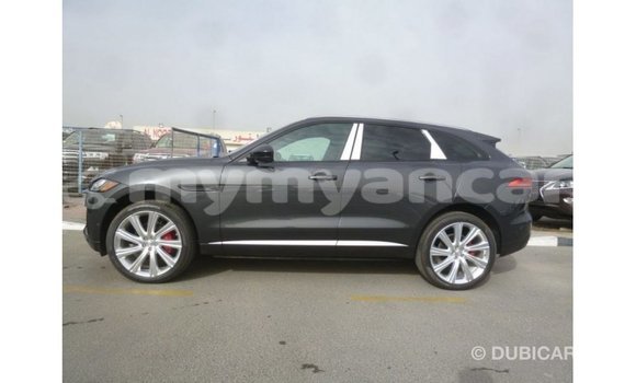 Buy Import Jaguar F-Type Black Car in Import - Dubai in Ayeyarwady Buy Import Jaguar F-Type Black Car in Import - Dubai in Ayeyarwady