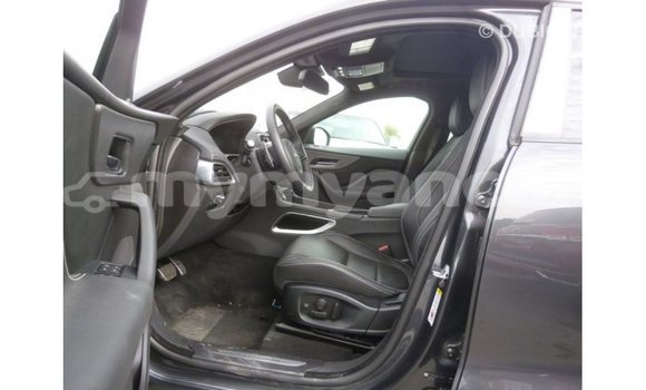 Buy Import Jaguar F-Type Black Car in Import - Dubai in Ayeyarwady Buy Import Jaguar F-Type Black Car in Import - Dubai in Ayeyarwady