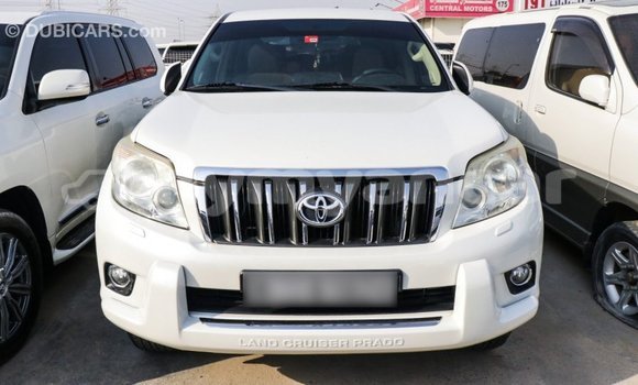 Acheter Import Voiture Toyota Prado Blanc à Import - Dubai, #<Region:0x000000000c5121b8> Acheter Import Voiture Toyota Prado Blanc à Import - Dubai, #<Region:0x000000000c5121b8>