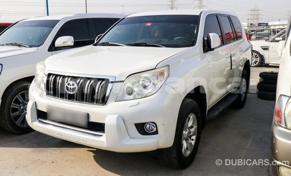 Acheter Import Voiture Toyota Prado Blanc à Import - Dubai, #<Region:0x000000000c5121b8> Acheter Import Voiture Toyota Prado Blanc à Import - Dubai, #<Region:0x000000000c5121b8>