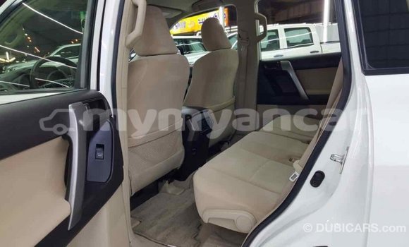 သွင်းကုန် Toyota Prado White ကား Import - Dubai Ayeyarwady သွင်းကုန် Toyota Prado White ကား Import - Dubai Ayeyarwady