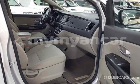 သွင်းကုန် Kia Carnival Other ကား Import - Dubai Ayeyarwady သွင်းကုန် Kia Carnival Other ကား Import - Dubai Ayeyarwady