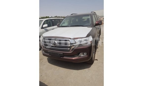 Buy Import Toyota Land Cruiser Brown Car in Import - Dubai in Ayeyarwady Buy Import Toyota Land Cruiser Brown Car in Import - Dubai in Ayeyarwady