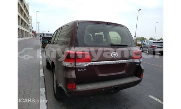 Buy Import Toyota Land Cruiser Brown Car in Import - Dubai in Ayeyarwady Buy Import Toyota Land Cruiser Brown Car in Import - Dubai in Ayeyarwady