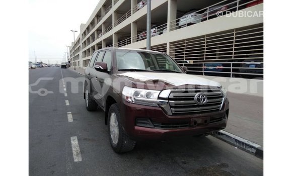 Buy Import Toyota Land Cruiser Brown Car in Import - Dubai in Ayeyarwady Buy Import Toyota Land Cruiser Brown Car in Import - Dubai in Ayeyarwady