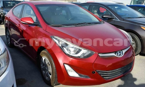 Buy Import Hyundai Elantra Red Car in Import - Dubai in Ayeyarwady Buy Import Hyundai Elantra Red Car in Import - Dubai in Ayeyarwady