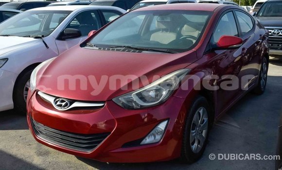 Buy Import Hyundai Elantra Red Car in Import - Dubai in Ayeyarwady Buy Import Hyundai Elantra Red Car in Import - Dubai in Ayeyarwady