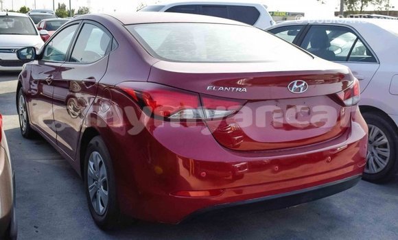 Buy Import Hyundai Elantra Red Car in Import - Dubai in Ayeyarwady Buy Import Hyundai Elantra Red Car in Import - Dubai in Ayeyarwady