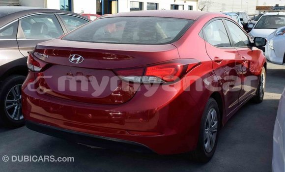 Buy Import Hyundai Elantra Red Car in Import - Dubai in Ayeyarwady Buy Import Hyundai Elantra Red Car in Import - Dubai in Ayeyarwady