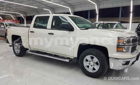 သွင်းကုန် Chevrolet Silverado White ကား Import - Dubai Ayeyarwady သွင်းကုန် Chevrolet Silverado White ကား Import - Dubai Ayeyarwady