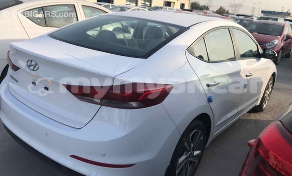 Buy Import Hyundai Elantra White Car in Import - Dubai in Ayeyarwady Buy Import Hyundai Elantra White Car in Import - Dubai in Ayeyarwady