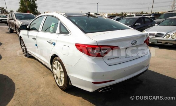 Buy Import Hyundai Sonata White Car in Import - Dubai in Ayeyarwady Buy Import Hyundai Sonata White Car in Import - Dubai in Ayeyarwady
