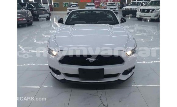 သွင်းကုန် Ford Mustang White ကား Import - Dubai Ayeyarwady သွင်းကုန် Ford Mustang White ကား Import - Dubai Ayeyarwady