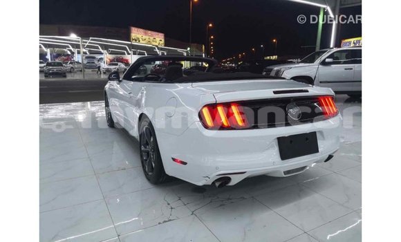 သွင်းကုန် Ford Mustang White ကား Import - Dubai Ayeyarwady သွင်းကုန် Ford Mustang White ကား Import - Dubai Ayeyarwady