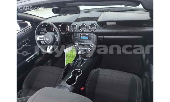 သွင်းကုန် Ford Mustang White ကား Import - Dubai Ayeyarwady သွင်းကုန် Ford Mustang White ကား Import - Dubai Ayeyarwady