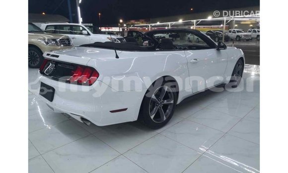 Acheter Import Voiture Ford Mustang Blanc à Import - Dubai, #<Region:0x000000000c5121b8>