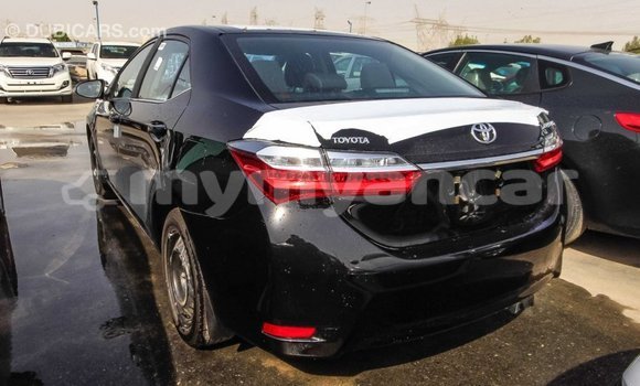 Buy Import Toyota Corolla Black Car in Import - Dubai in Ayeyarwady Buy Import Toyota Corolla Black Car in Import - Dubai in Ayeyarwady