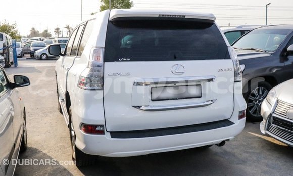 Acheter Import Voiture Lexus GX Blanc à Import - Dubai, #<Region:0x000000000c5121b8> Acheter Import Voiture Lexus GX Blanc à Import - Dubai, #<Region:0x000000000c5121b8>