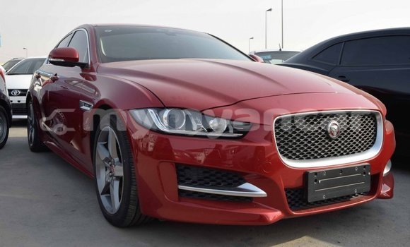 Acheter Import Voiture Jaguar XE Rouge à Import - Dubai, #<Region:0x000000000c5121b8>