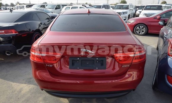 Acheter Import Voiture Jaguar XE Rouge à Import - Dubai, #<Region:0x000000000c5121b8> Acheter Import Voiture Jaguar XE Rouge à Import - Dubai, #<Region:0x000000000c5121b8>