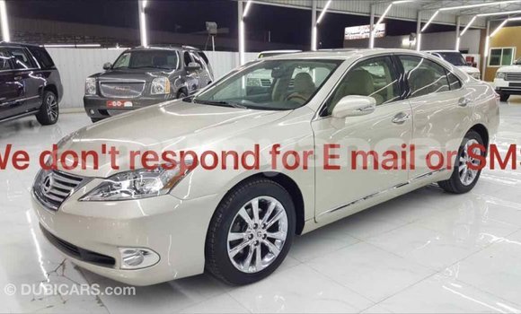 သွင်းကုန် Lexus ES Other ကား Import - Dubai Ayeyarwady သွင်းကုန် Lexus ES Other ကား Import - Dubai Ayeyarwady