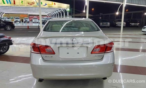 သွင်းကုန် Lexus ES Other ကား Import - Dubai Ayeyarwady သွင်းကုန် Lexus ES Other ကား Import - Dubai Ayeyarwady