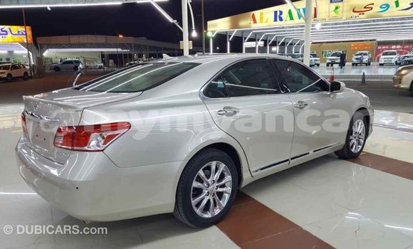 သွင်းကုန် Lexus ES Other ကား Import - Dubai Ayeyarwady သွင်းကုန် Lexus ES Other ကား Import - Dubai Ayeyarwady