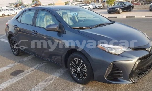 Buy Import Toyota Corolla Other Car in Import - Dubai in Ayeyarwady Buy Import Toyota Corolla Other Car in Import - Dubai in Ayeyarwady