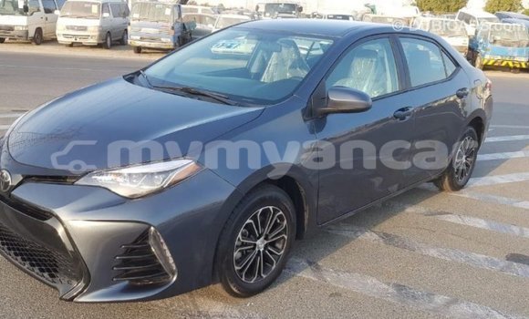 Buy Import Toyota Corolla Other Car in Import - Dubai in Ayeyarwady Buy Import Toyota Corolla Other Car in Import - Dubai in Ayeyarwady