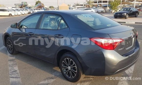 Buy Import Toyota Corolla Other Car in Import - Dubai in Ayeyarwady Buy Import Toyota Corolla Other Car in Import - Dubai in Ayeyarwady