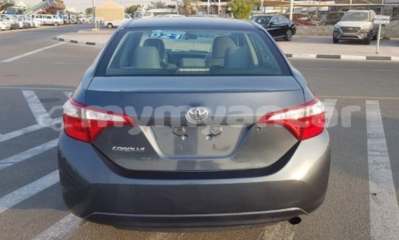Buy Import Toyota Corolla Other Car in Import - Dubai in Ayeyarwady Buy Import Toyota Corolla Other Car in Import - Dubai in Ayeyarwady