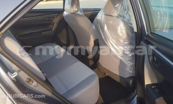 Buy Import Toyota Corolla Other Car in Import - Dubai in Ayeyarwady Buy Import Toyota Corolla Other Car in Import - Dubai in Ayeyarwady