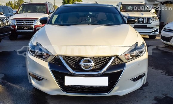 သွင်းကုန် Nissan Maxima White ကား Import - Dubai Ayeyarwady သွင်းကုန် Nissan Maxima White ကား Import - Dubai Ayeyarwady