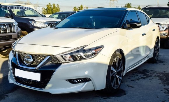 သွင်းကုန် Nissan Maxima White ကား Import - Dubai Ayeyarwady သွင်းကုန် Nissan Maxima White ကား Import - Dubai Ayeyarwady