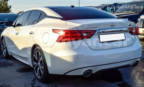 သွင်းကုန် Nissan Maxima White ကား Import - Dubai Ayeyarwady သွင်းကုန် Nissan Maxima White ကား Import - Dubai Ayeyarwady