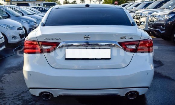 သွင်းကုန် Nissan Maxima White ကား Import - Dubai Ayeyarwady သွင်းကုန် Nissan Maxima White ကား Import - Dubai Ayeyarwady