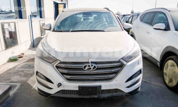 Acheter Import Voiture Hyundai Tucson Blanc à Import - Dubai, #<Region:0x000000000c5121b8> Acheter Import Voiture Hyundai Tucson Blanc à Import - Dubai, #<Region:0x000000000c5121b8>