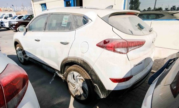 Acheter Import Voiture Hyundai Tucson Blanc à Import - Dubai, #<Region:0x000000000c5121b8> Acheter Import Voiture Hyundai Tucson Blanc à Import - Dubai, #<Region:0x000000000c5121b8>