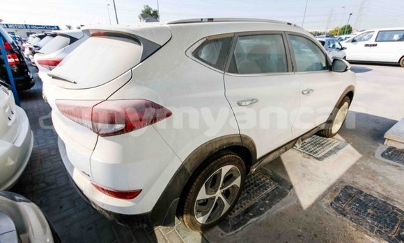 Acheter Import Voiture Hyundai Tucson Blanc à Import - Dubai, #<Region:0x000000000c5121b8> Acheter Import Voiture Hyundai Tucson Blanc à Import - Dubai, #<Region:0x000000000c5121b8>