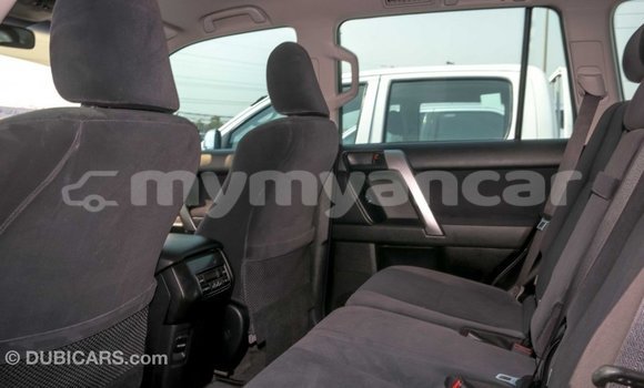Buy Import Toyota Prado Other Car in Import - Dubai in Ayeyarwady Buy Import Toyota Prado Other Car in Import - Dubai in Ayeyarwady