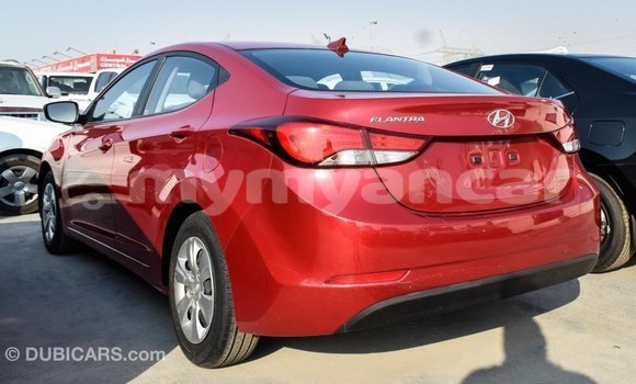 Buy Import Hyundai Elantra Red Car in Import - Dubai in Ayeyarwady Buy Import Hyundai Elantra Red Car in Import - Dubai in Ayeyarwady