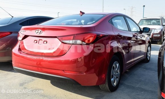Buy Import Hyundai Elantra Red Car in Import - Dubai in Ayeyarwady Buy Import Hyundai Elantra Red Car in Import - Dubai in Ayeyarwady