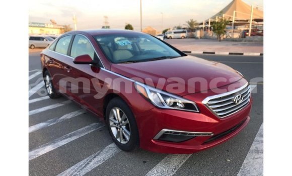 Buy Import Hyundai Sonata Red Car in Import - Dubai in Ayeyarwady Buy Import Hyundai Sonata Red Car in Import - Dubai in Ayeyarwady