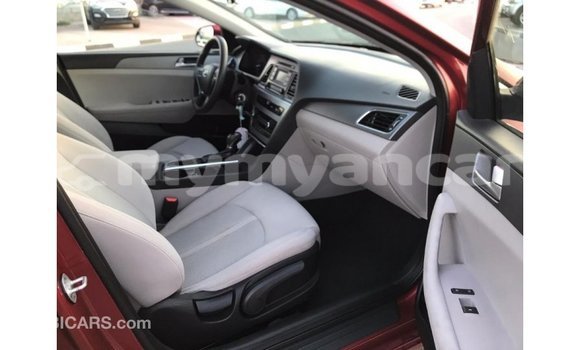 Buy Import Hyundai Sonata Red Car in Import - Dubai in Ayeyarwady Buy Import Hyundai Sonata Red Car in Import - Dubai in Ayeyarwady