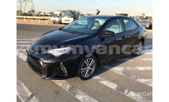 Buy Import Toyota Corolla Black Car in Import - Dubai in Ayeyarwady Buy Import Toyota Corolla Black Car in Import - Dubai in Ayeyarwady